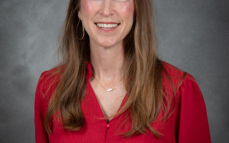 Lesley Blanks