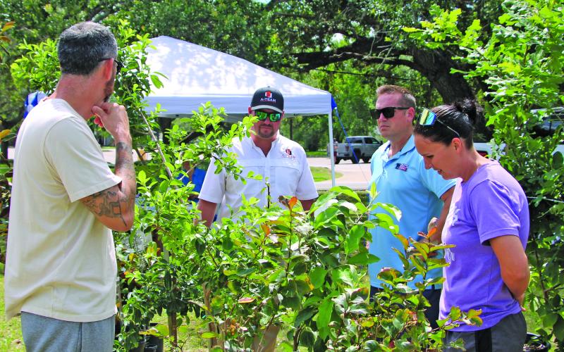 Sentinel photo/Mike Reddell The 62nd Annual JC Lewis Memorial Tree Sale was held Friday, May 15, at the HEB Green Space. Taylor Ashcraft and Trent Tinni help a couple looking for a tree. Ashcraft, second from left, is with A-Team Landscaping, which donated oak trees. Trent Tinnin, next to Ashcraft, is with Lone Star Nursery, which provided fruit trees, magnolias.