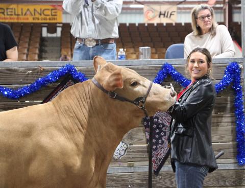 Sentinel Photo/MaLinda Reddell Matagorda County Fair and Livestock Association's Livestock 2025 Grand Champion steer was shown by Van Vleck FFA member Kenzie Brown