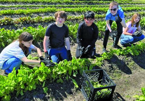 Matagorda ISD photo Matagorda ISD Principles of Ag class have done some heavy garden work the last few days. The kids have been enjoying going outside and learning how to garden. 