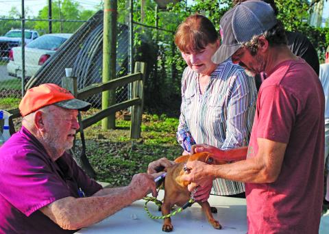 Sentinel Photo/Jessica Shepard Bay City Feed partnered with Dr. Jim Davant for its “Annual Free Rabies Vaccine Clinic” Saturday, April 26, at Liberty Park. 
