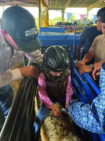 Adelyn Sutherland, age 4 yrs old, gets ready for her turn at the Mutton Bustin’ competition at the Bay City Lions Club Rice Festival Sunday, Oct. 26. It is her dad, Chris Sutherland, who is putting her on the sheep. Courtesy photo