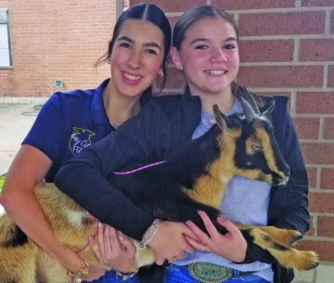 Sentinel photo/Mike Reddell Two members of the Bay City FFA show off a goat and shared information during Bay City High School's "Annual Academic & CTE Showcase" on Friday, Feb. 13. 