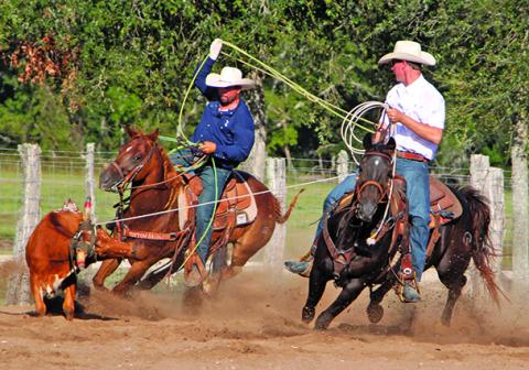 Sentinel Photo/MaLinda Reddell