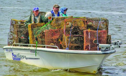 Contributed photo Texas Parks and Wildlife abandoned crab trap removal program with participation from the Matagorda Bay Foundation and LyondellBasell.