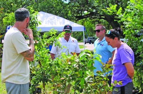 Sentinel photo/Mike Reddell The 62nd Annual JC Lewis Memorial Tree Sale was held Friday, May 15, at the HEB Green Space. Taylor Ashcraft and Trent Tinni help a couple looking for a tree. Ashcraft, second from left, is with A-Team Landscaping, which donated oak trees. Trent Tinnin, next to Ashcraft, is with Lone Star Nursery, which provided fruit trees, magnolias.