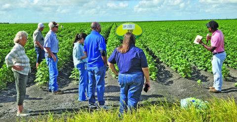 Sentinel Photo/Jessica Shepard Wharton County AgriLife Extension Program Specialist Simeon Ross, right, discussed the types of insect pests that have been visible in cotton crops in the area during Matagorda County’s annual “Row Crop Tour” on June 11. Tour attendees were able to get up close and personal with cotton, grain sorghum and corn trial crops.
