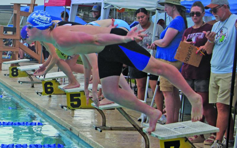 Sentinel Photo/Mike Reddell Bay City Aquacats meet Saturday, June 20, had to be called for area lightning threats. But there were several events held, such as diving. For more Aquacat news. see Page 7.