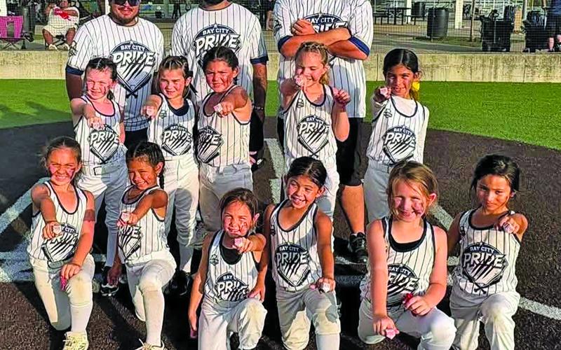 Contributed photo 6u 2nd place finish in the USA District Tournament in Pearland