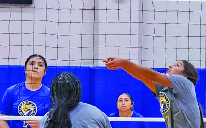 BCISD photo Lady Cat volleyballers compete in an intra-squad scrimmage during first week of 2026 workouts