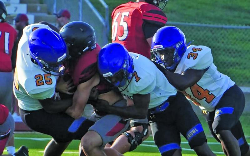 Bay City ISD Athletics photo