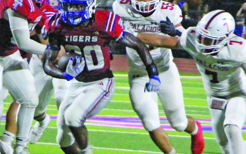 Sentinel Photo/Jessica Shepard Tiger running back Noah Riddick barrels through Palacios defenders. Riddick was Tidehaven’s leading rusher with 149 yards on 11 carries and two touchdowns.