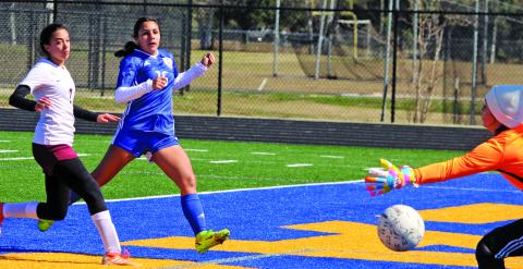 Sentinel photo/Mike Reddell Ladycat sophomore forward Andrea Perez (16) drives in a goal past the outstretched arms of the Columbia Lady Necks’ goalie at Memorial Stadium Saturday, Feb. 5. Bay City posted its 10th shutout of the season in the 8-0 victory. 