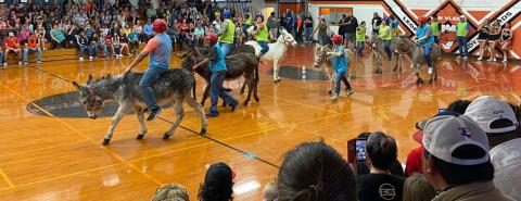 Courtesy photo from Kelsie Brown Teams take the court for the Donkey Basketball game April 21. The Van Vleck High School Cheerleader Booster Club’s four-team fundraiser drew 500 spectators of all ages. Booster Club President Kelsie Brown plans on bringing the fundraiser back next year.