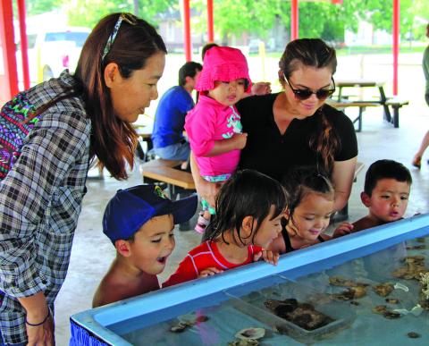 Sentinel photo/Mike Reddell There were plenty of ways to capture the interest of children at the Bay City Parks & Recreation Summer Kick-Off at Amistad Park Saturday, June 4. Kids - and their mothers - were drawn to the antics of crabs and other sea creatures in a touch tank provided by Texas Parks & Wildlife Department