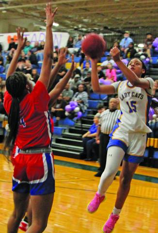 Sentinel Photo/Mike Reddell