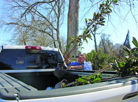 Sentinel Photo/Mike Reddell Scenic Texas and the City of Bay City gave away hundreds of trees at the free tree giveaway at Riverside Park Saturday, Jan. 14. 