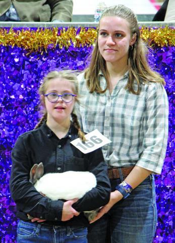 Chelsea Riccio shows her meat pen rabbit "Scratches" off to potential buyers at the Matagorda County Fair and Livestock Association's annual "Junior Livestock Auction" Saturday, March 4. Riccio's older sister Lavery lends a hand while bids are made.  Sentinel Photo/MaLinda Reddell