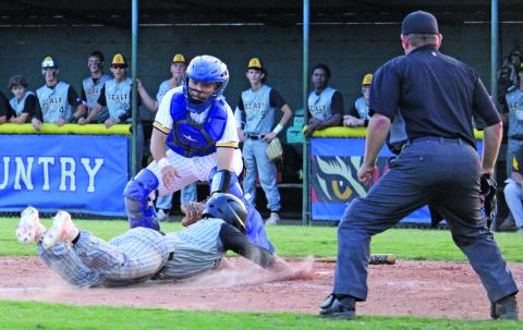 Sentinel Photo/Mike Reddell