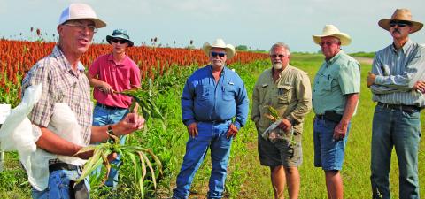 Sentinel Photo/Mike Reddell Texas A&M AgriLife Extension Agents discussed crop problems and how to treat them with Matagorda County farmers during last week’s crop tour.