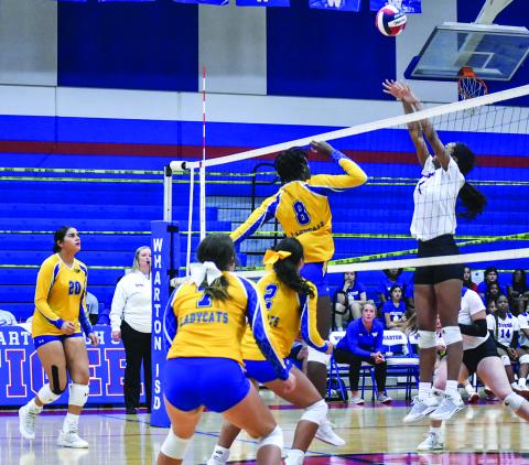 BCISD photo The Bay City Ladycat volleyball team played in a recent tournament at Wharton.