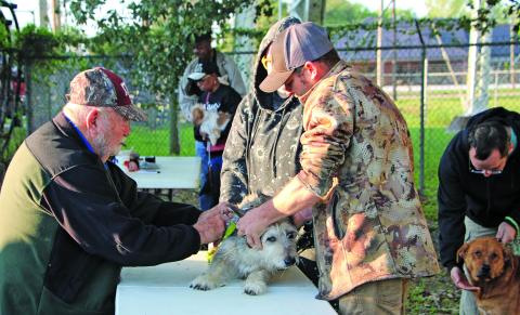 Sentinel Photo/ MaLinda Reddell Dr. Jim Devant administers a rabies vaccination to one of many dogs at last Saturday’s rabies clinic at Liberty Park. The 26th Annual Spring Rabies Vaccine Clinic is sponsored by Devant’s clinic and Bay City Feed.
