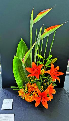Design Excellence Award & 1st Place Winner- Linda Allison