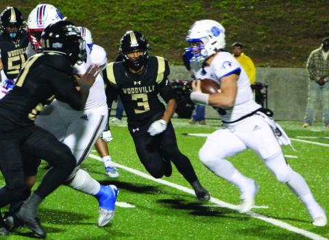 Sentinel Photo/MaLinda Reddell