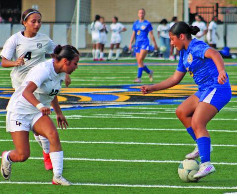 Sentinel Photo/Mike Reddell