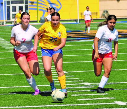 Sentinel photo/Mike Reddell Lady Cat freshman Lilly Wurtz (25) battles Cardinal.