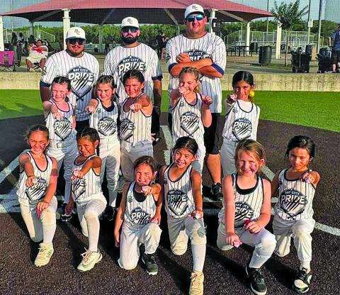 Contributed photo 6u 2nd place finish in the USA District Tournament in Pearland