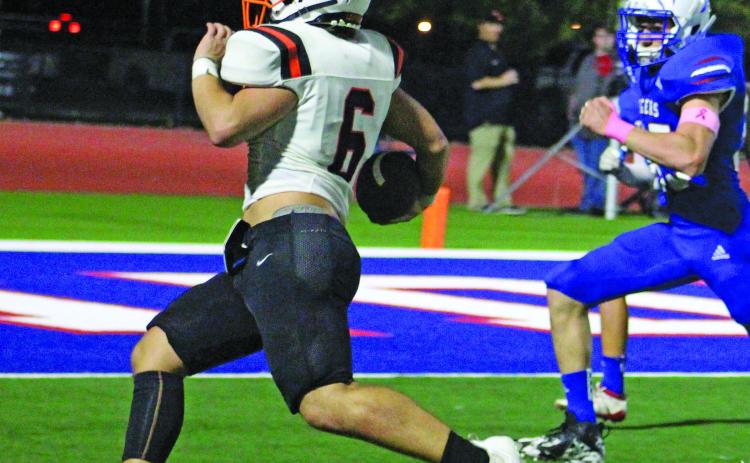 Sentinel photo/Jessica Shepard Van Vleck sophomore back Brett Noster (6) speeds into the end zone on one of his two touchdowns against Tidehaven last Friday.