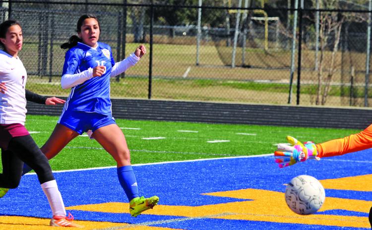 Sentinel photo/Mike Reddell Ladycat sophomore forward Andrea Perez (16) drives in a goal past the outstretched arms of the Columbia Lady Necks’ goalie at Memorial Stadium Saturday, Feb. 5. Bay City posted its 10th shutout of the season in the 8-0 victory.