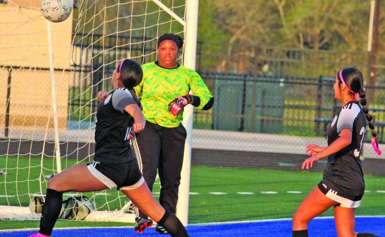 Sentinel photos/Mike Reddell Ladycats converge at goal net against Houston North Shore in a bi-district championship game that Bay City won 16-0 Saturday, March 26.