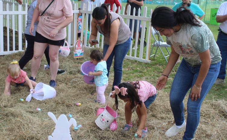 Parents got to lend a hand in helping toddlers find their six Easter eggs in the hay at the Bay City Parks and Recreations Department's annual Easter egg hunt, Friday, April 15. Sentinel photo/Jessica Shepard