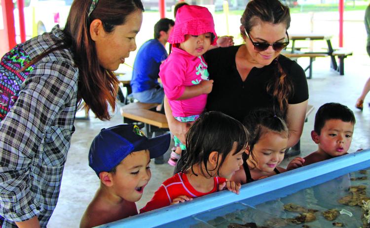 Sentinel photo/Mike Reddell There were plenty of ways to capture the interest of children at the Bay City Parks & Recreation Summer Kick-Off at Amistad Park Saturday, June 4. Kids - and their mothers - were drawn to the antics of crabs and other sea creatures in a touch tank provided by Texas Parks & Wildlife Department
