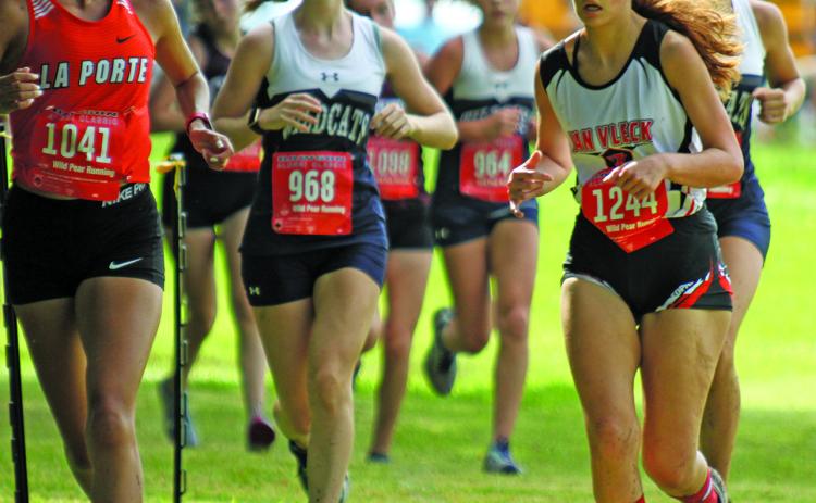 Photo by Anna Hernandez Van Vleck Cross Country runners competed in their first cross country meet in Pearland last week. Van Vleck’s Abby Carnicle, (above No. 1244), makes good time keeping up with the pack.  Juan Amezquita (1239) and Noah Cassle (1240) keep up the pace.