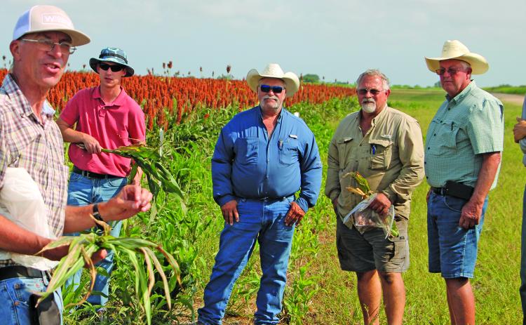 Sentinel Photo/Mike Reddell Texas A&M AgriLife Extension Agents discussed crop problems and how to treat them with Matagorda County farmers during last week’s crop tour.