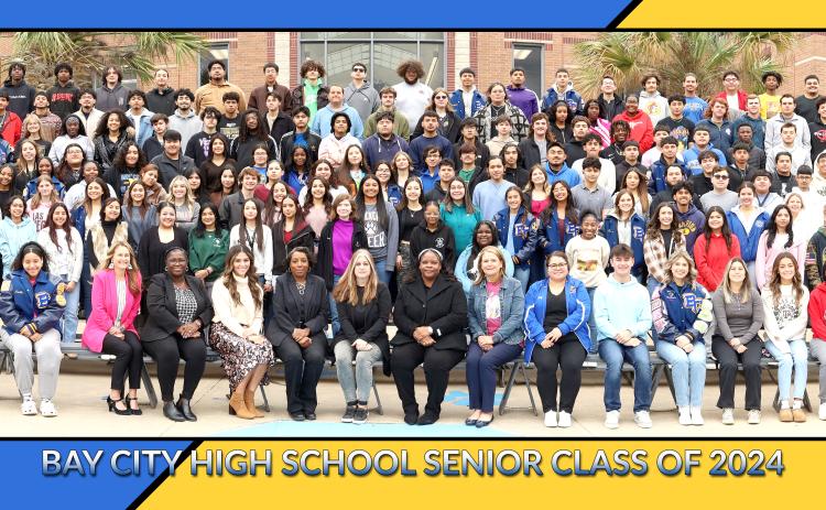 BCISD photo
