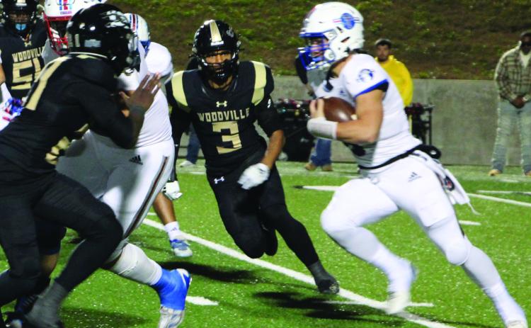 Sentinel Photo/MaLinda Reddell