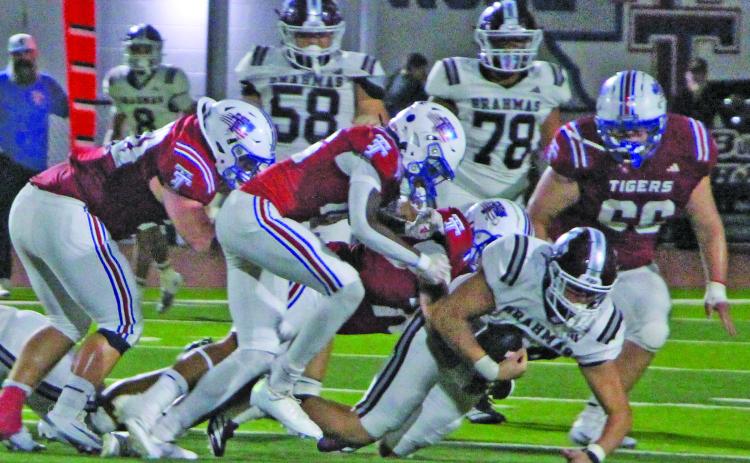 Sentinel Photos/Jessica Shepard Tiger team tackling brought down this East Bernard running back last Friday night.
