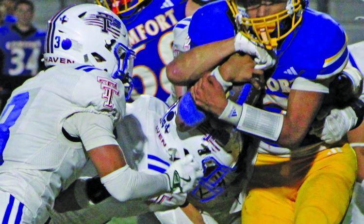Sentinel Photo/MaLinda Reddell