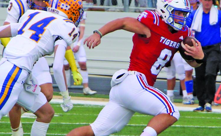 Sentinel Photo/MaLinda Reddell Senior Tiger quarterback Kale Russell (8) races away from Blanco defenders in the regional contest last Friday.