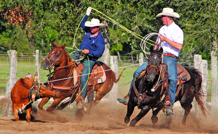 Sentinel Photo/MaLinda Reddell
